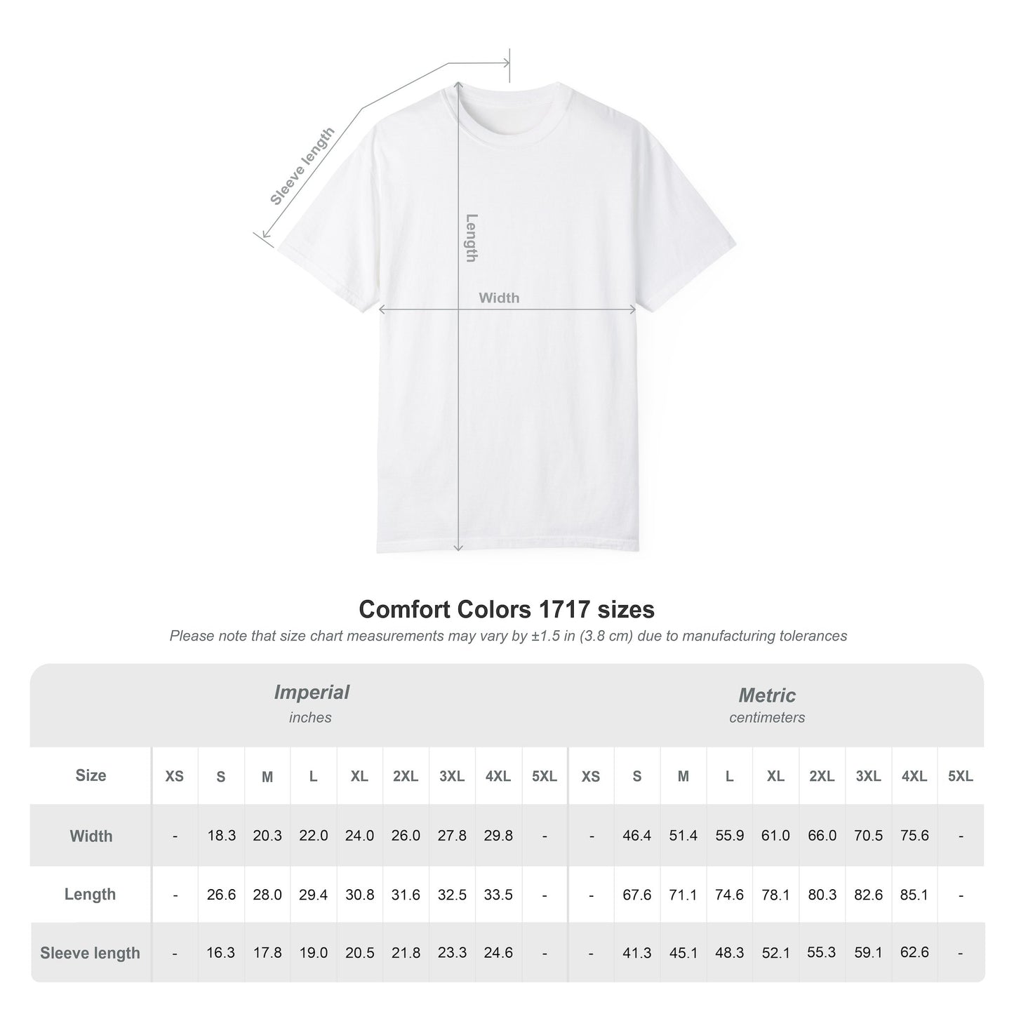 Copy of Unisex Garment-Dyed T-shirt - REBORN Graphic Tee for Motivational Style