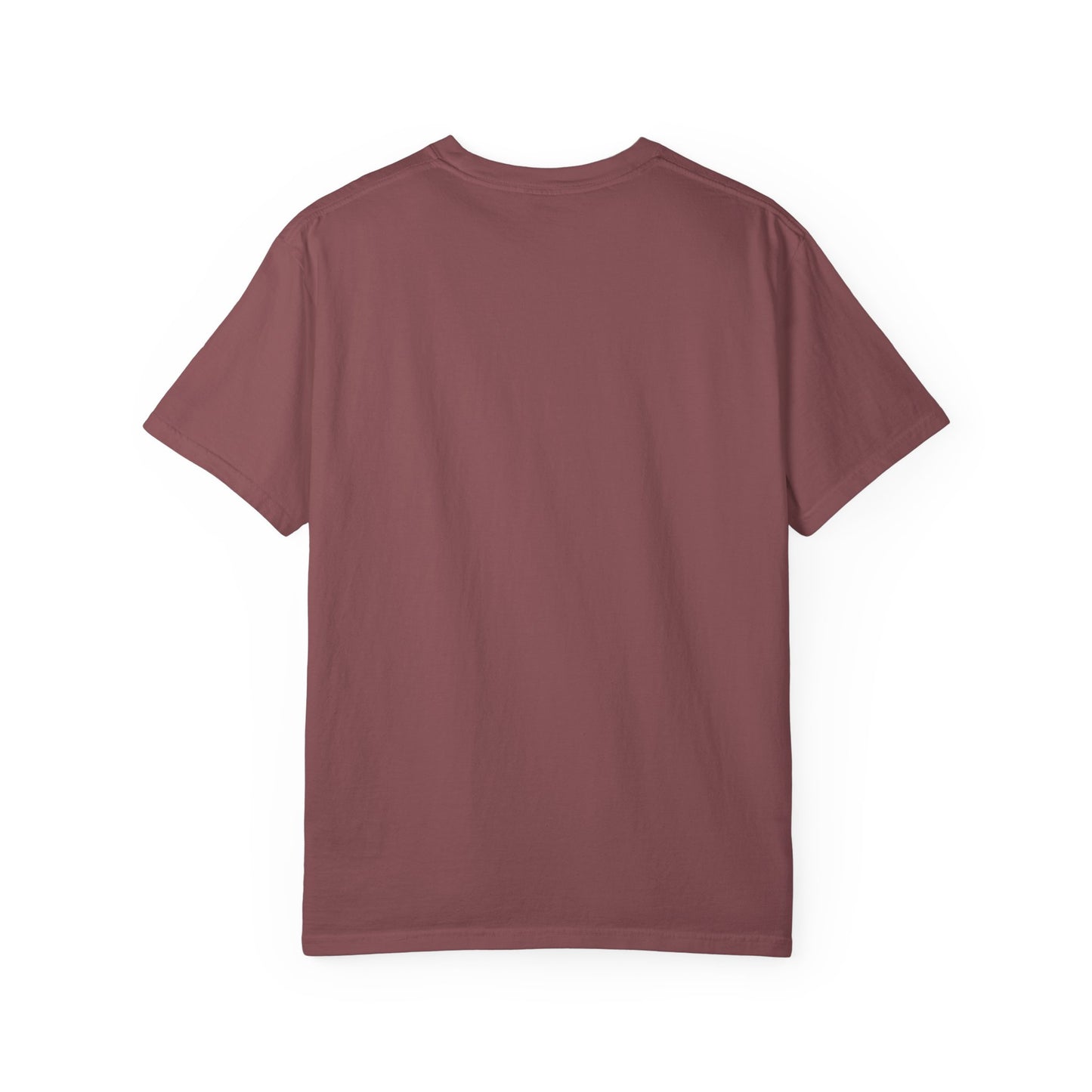 Salvation Unisex T-shirt - Vintage Washed Graphic Tee